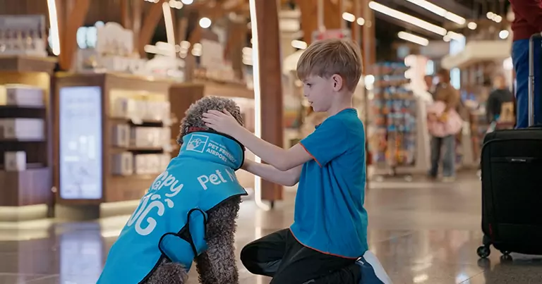 Istanbul Airport introduces Therapy Dogs to comfort passengers